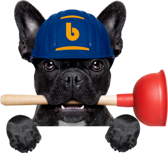 Ein Mops mit einer Saugklocke im Mund