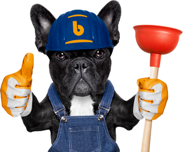 Ein Mops mit einer Saugklocke in der Hand, der einen Daumen hoch zeigt